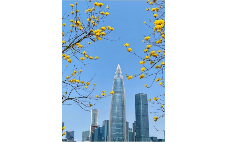 我國(guó)戰(zhàn)略性新興產(chǎn)業(yè)有效發(fā)明專利量達(dá)134.9萬(wàn)件